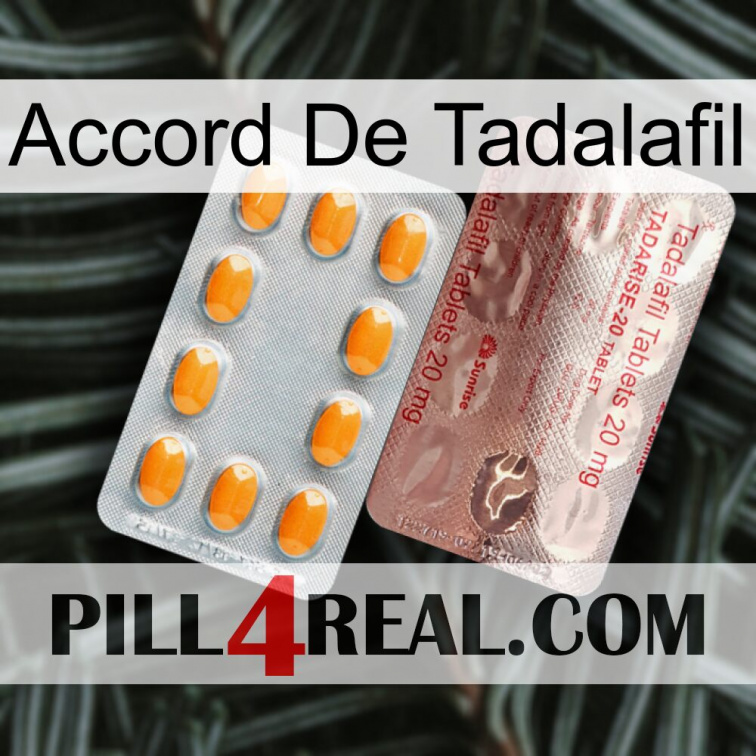 Tadalafil Accord new13